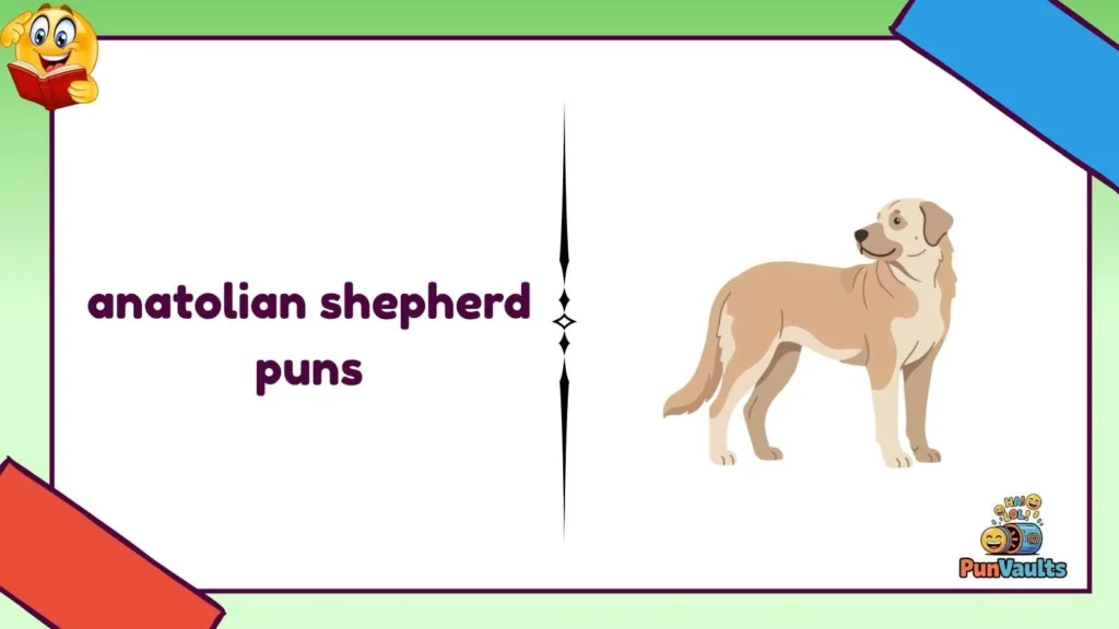 anatolian shepherd puns