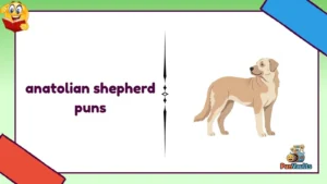 anatolian shepherd puns