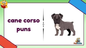 cane corso puns