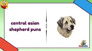 central asian shepherd puns