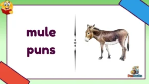 mule puns