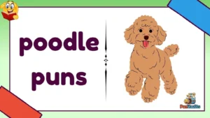 poodle puns