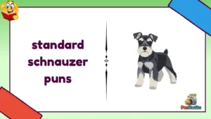 standard schnauzer puns