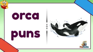 orca puns