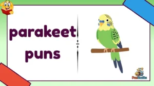 parakeet puns